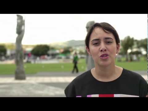 He aha te kaupapa ture o Aotearoa? - Hinurewa Poutu