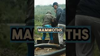 Ancestral Bones - As Night Descends