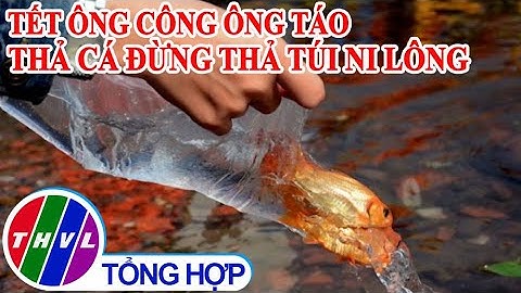 Chào buổi sáng (04/02/2021): Tết ông Công ông Táo – Thả cá đừng thả túi ni lông
