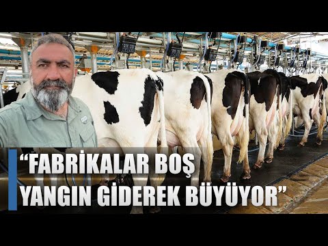 Eşref Şekerli: Süt Fabrikaları Boş Yangın Giderek Büyüyor / AGRO TV HABER