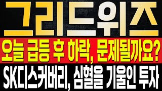 [그리드위즈 주가전망] 오늘 폭등이 나왔지만, 다시 주가가 내려왔습니다. 주포의 이탈은 없었고, 다시 한번 신고가 달성 랠리 달성 할 예정입니다. SK디스커버리의 의도 파악