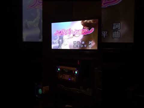 1986年のマリリン  本田美奈子