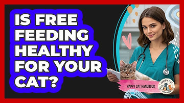 Is Free Feeding Healthy For Your Cat? - Happy Cat Handbook