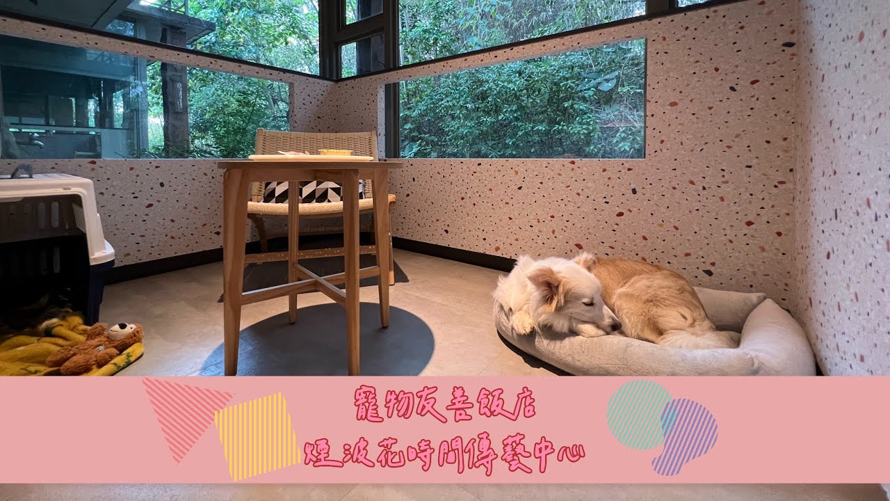 【寵物友善系列】超網美飯店，結合傳統與現代的美感！寵物可以直接進房進餐廳，還有寵物專屬遊樂場！夜遊傳藝中心美到爆炸！