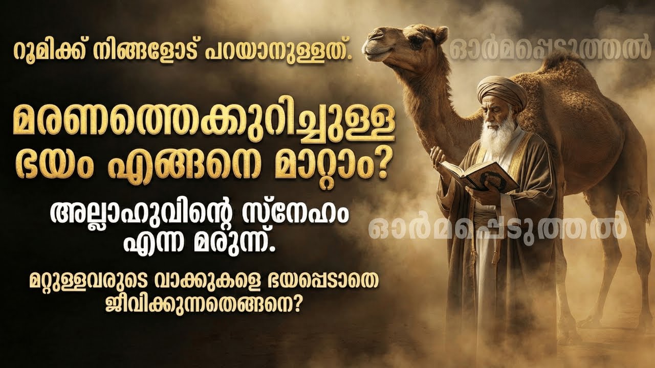 നിങ്ങൾ തകർന്നു പോയോ? റൂമിക്ക് നിങ്ങളോട് പറയാനുള്ളത്... | Life Changing Islamic Motivation