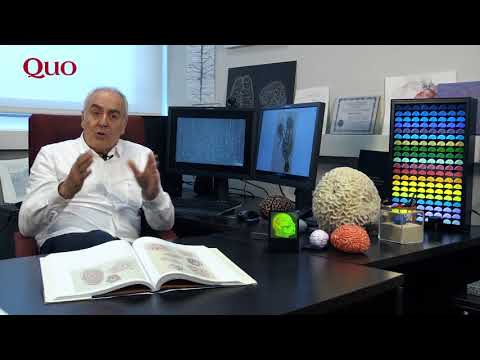 QUO Entrevistas. Javier de Felipe: “El cerebro no es infinito. Algún día lo sabremos todo sobre él”