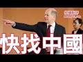 《經緯點評》 德國頭大了！朔爾茨懇求習近平出手相救？ David&#39;s Show 2023/11/06