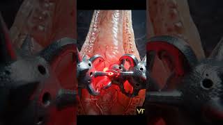 Most Men Don't Know This About Baldness