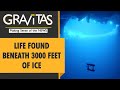 Gravitas: An 'accidental' discovery of life in Antarctica