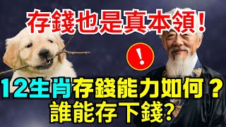 12生肖存錢能力如何誰能存下錢存錢也是真本領 #生肖 #財運 #財富