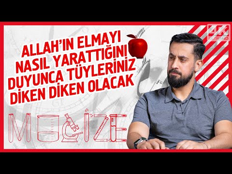 Allah'ın Elmayı Nasıl Yarattığını Duyunca Tüyleriniz Diken Diken Olacak! | Mehmet Yıldız
