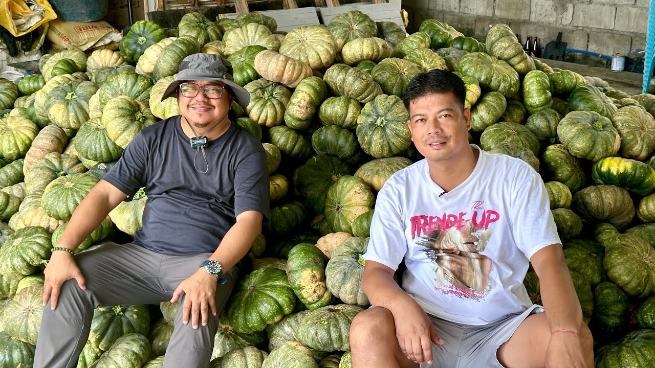 KALABASA VS. AMPALAYA: Anong mas MAGANDANG KITA? DISKARTENG Iwas LUGI sa GULAY FARMING