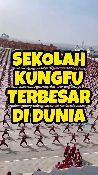 This is the largest kung fu training center in the world #shortvideo #kungfu #shaolin