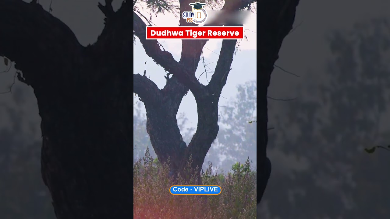 All About Dudhwa Tiger Reserve by Dr Vipan Goyal 