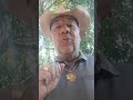 AMIGOS?