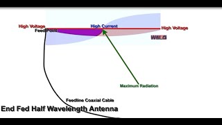 End Fed, Dipole, Off Center Fed Antennas: Which is better?  Jim W6LG Shows a Brief Animation by Jim W6LG 10,015 views 5 months ago 6 minutes, 4 seconds