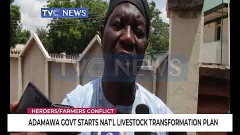 Adamawa government begins National Livestock Transformation Plan