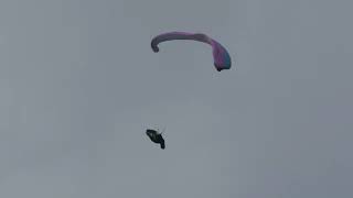 Paragliding SIV. Enzo 3 Stalls & Spins. April 2024