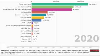 Number of multiracial persons by two-races classification and ethnicity  1990-2050 in USA