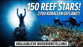 We brought a dead reef back to life! 🪸