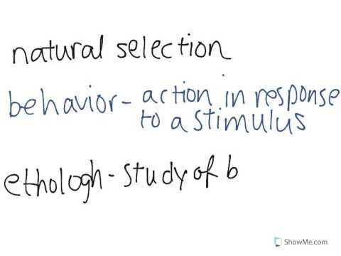 Evolution of Animal Behavior