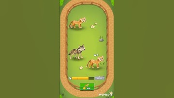 animals MERGE ZOO match karo