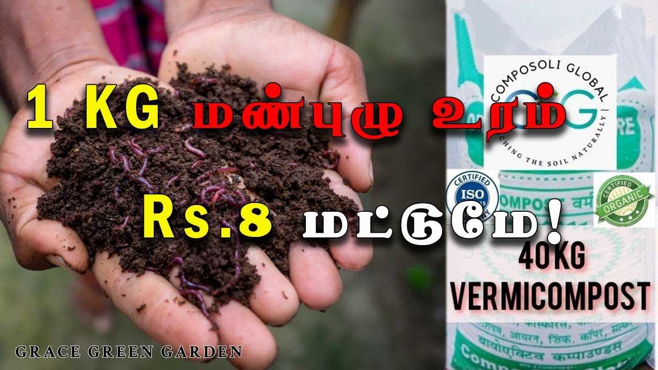 Cheap and Best vermicompost (with door delivery)| Tamil| Grace Green Garden