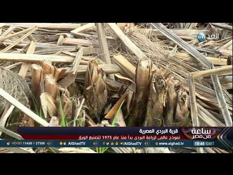 تقرير القراموص قرية البردي المصرية 