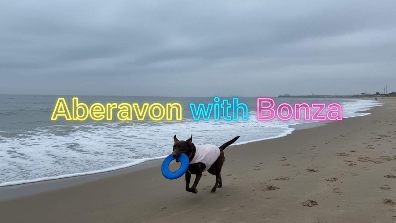Aberavon with Bonza