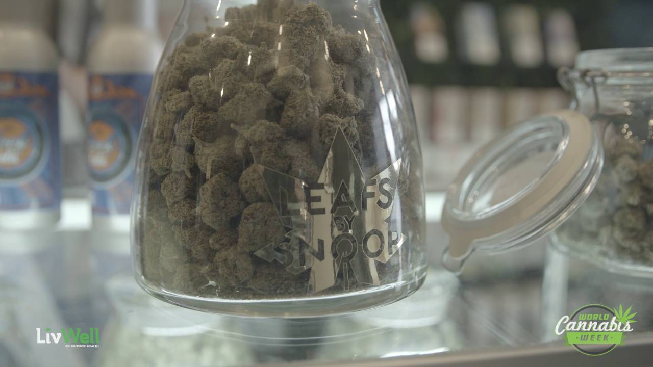 LivWell at World Cannabis Week 2016