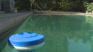 Hosts Turn Splash into Cash As Swimply App Expands To Sacramento