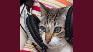 Ambient Music Purr Pause