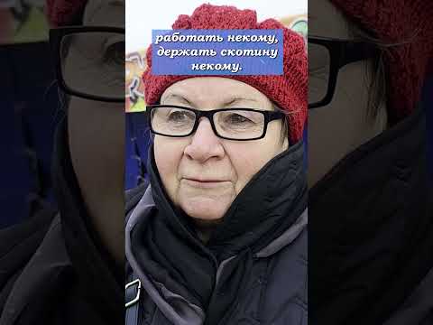 "Выращивать коров очень дорого". Опрос россиян о ценах на мясо #опрос #экономика #цены