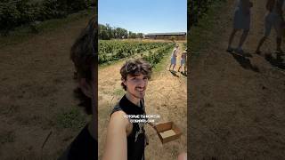 I headed to the countryside... #vlog #summer #farm #paris #france #fruits #vegetables #garden