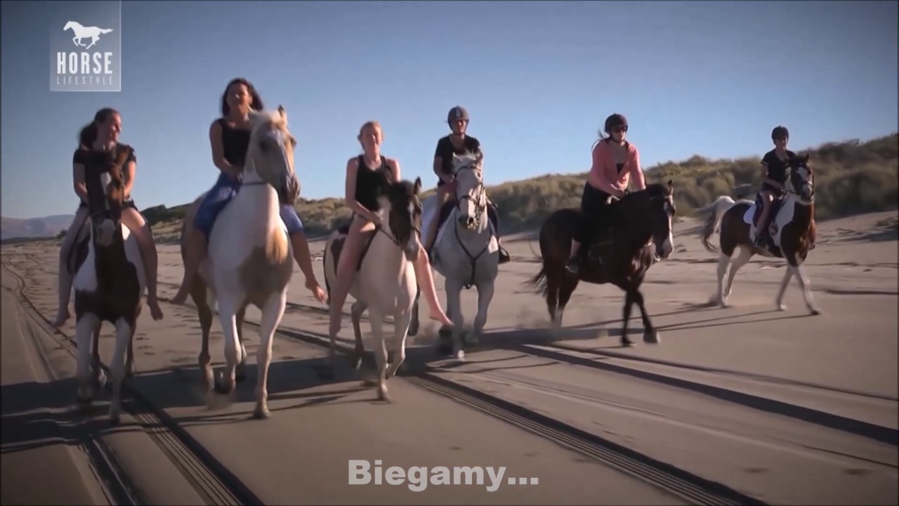 Po co ludzie jeżdżą konno?