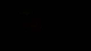 4b. Soli - dunun (audio only) screenshot 5