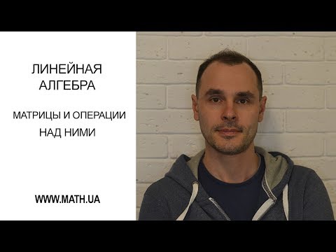 Матрицы и операции над ними видеоурок диагональные матрицы