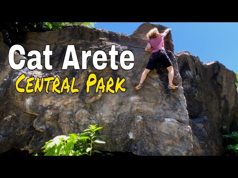 Beta Video for climb Left Arete v0, New York City