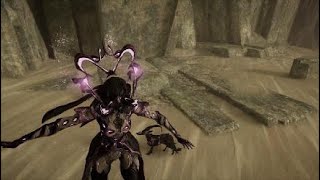 Just An Normal Day In Warframe For Me