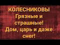 Семья Колесниковых/Новости из Дворца.