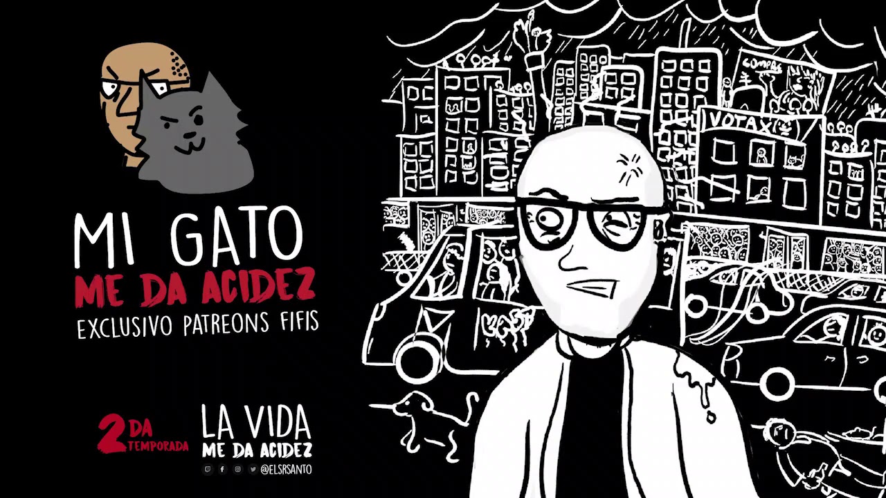 Mi gato me da acidez