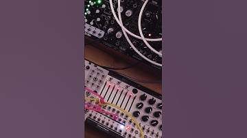 Monotrail creating harmonies with Step 8