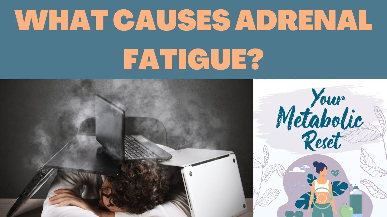 What Causes Adrenal Fatigue? YouTube