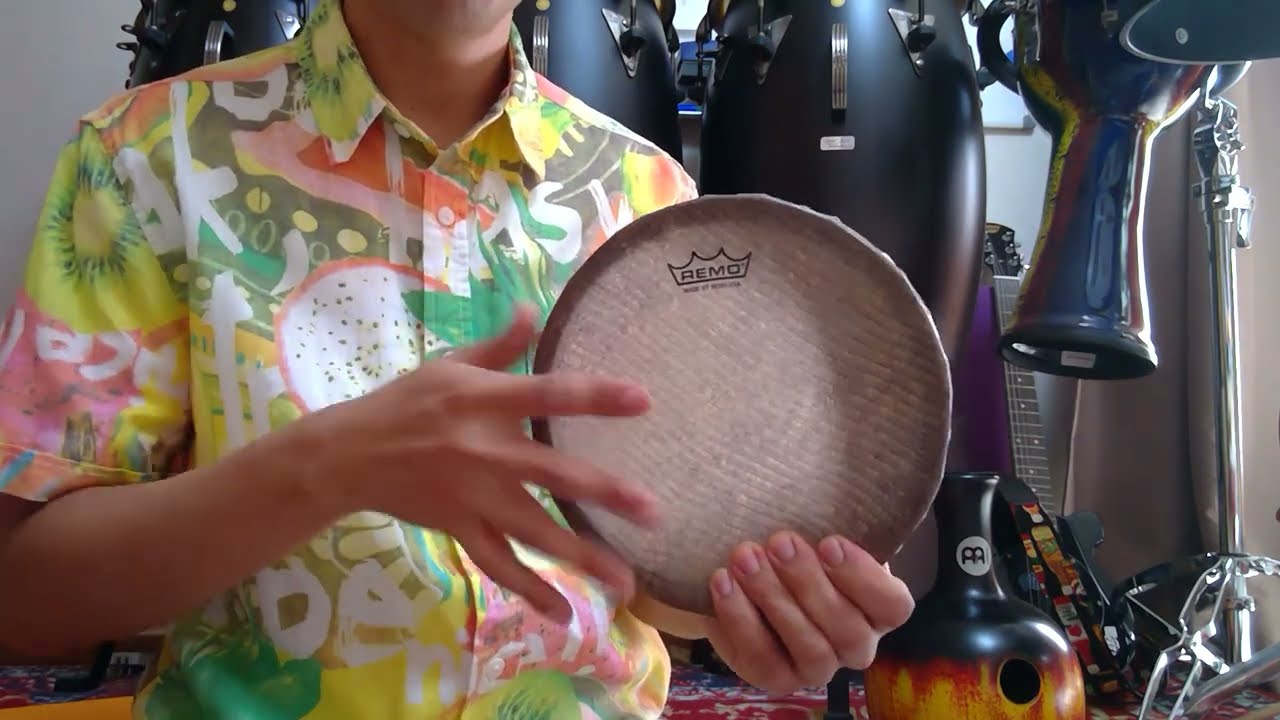 REMO カンジーラ Kanjira インド音楽 フレームドラム　ケース付き Remo カンジーラ(Kanjira) - Drum Percussion（タンバリン