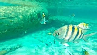 THE 15 MOST AMAZING VIEWS OF THE BAHAMAS