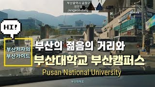 Driving in Busan/Korea/부산 장전동 부산대학교와 일대를 소개합니다