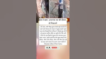 #tutorialfilter #tgiks