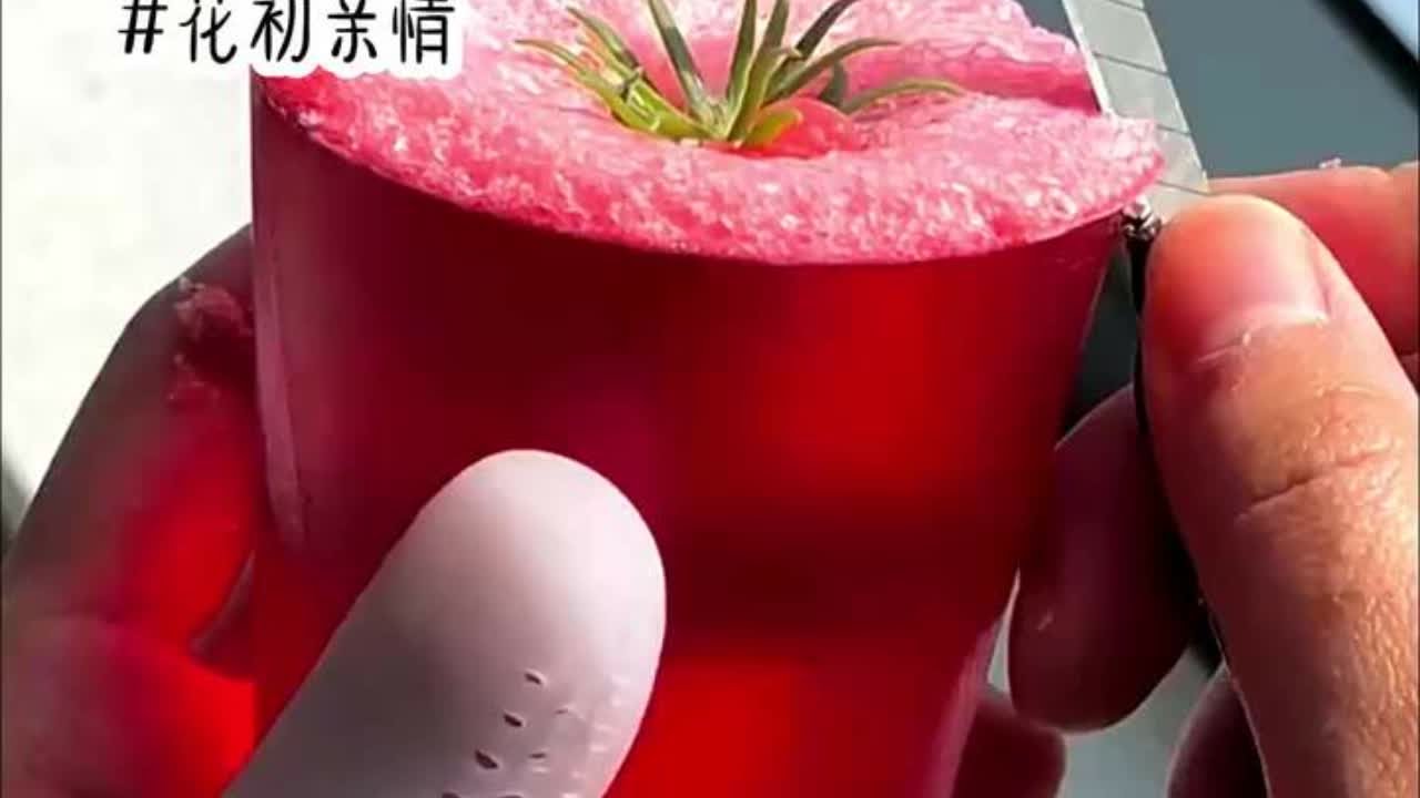 📚花初亲情，下载悟🈳浏览器可以勉费看全文#拯救书荒 #宝藏小说 #小说 #已完结 #女生必看小说系列