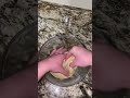 Homemade Flour Tortillas