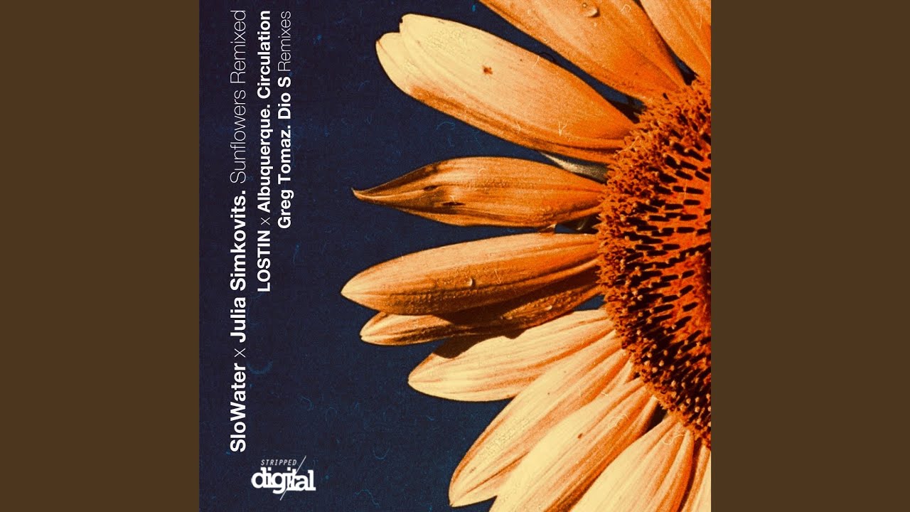Sunflowers (LOSTIN X Albuquerque Remix) YouTube